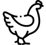 hagyomány